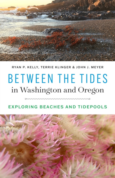 Between the Tides in Washington and Oregon : Exploring Beaches and Tidepools