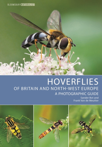 Hoverflies of Britain and North-west Europe : A photographic guide