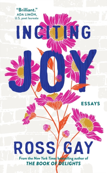 Inciting Joy : Essays