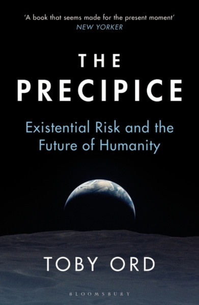 The Precipice : 'A book that seems made for the present moment' New Yorker