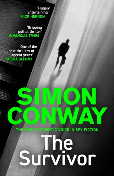 The Survivor : A Sunday Times Thriller of the Month