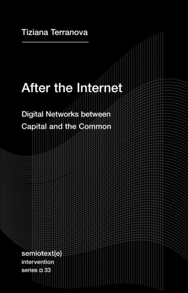 After the Internet : Digital Networks between the Capital and the Common