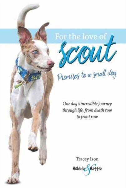 For the Love of Scout : Promises to a Small Dog