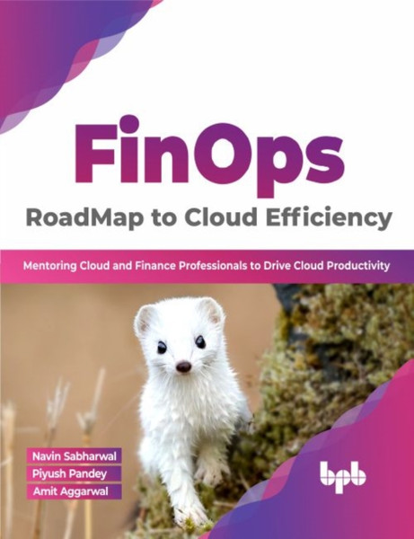 FinOps : RoadMap to Cloud Efficiency : Mentoring Cloud and Finance Professionals to Drive Cloud Productivity