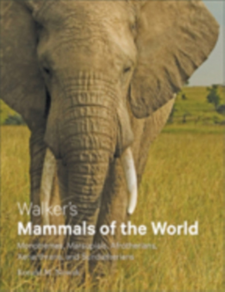 Walker's Mammals of the World : Monotremes, Marsupials, Afrotherians, Xenarthrans, and Sundatherians