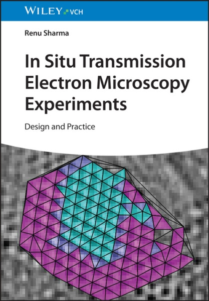 In Situ Transmission Electron Microscopy Experiments : Design and Practice