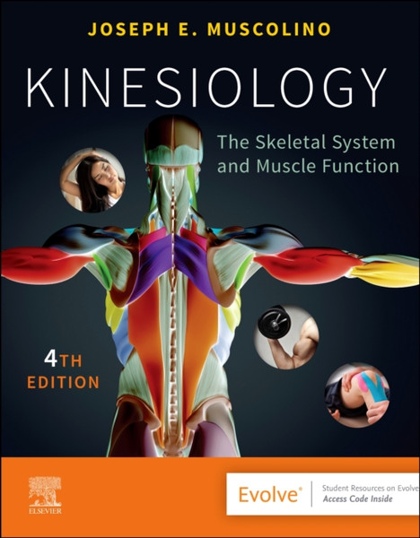 Kinesiology : The Skeletal System and Muscle Function