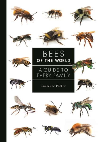 Bees of the World : A Guide to Every Family