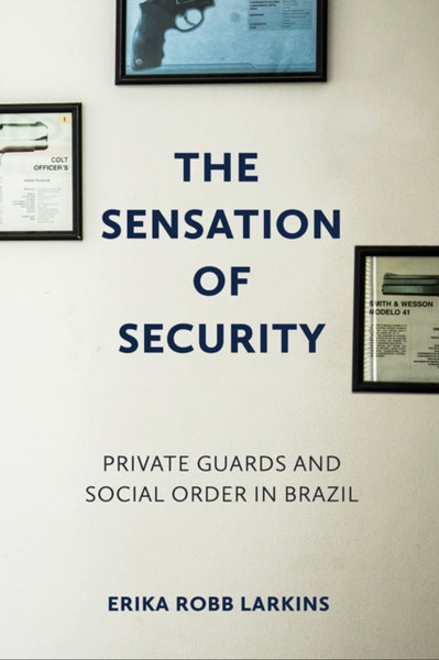 The Sensation of Security : Private Guards and Social Order in Brazil