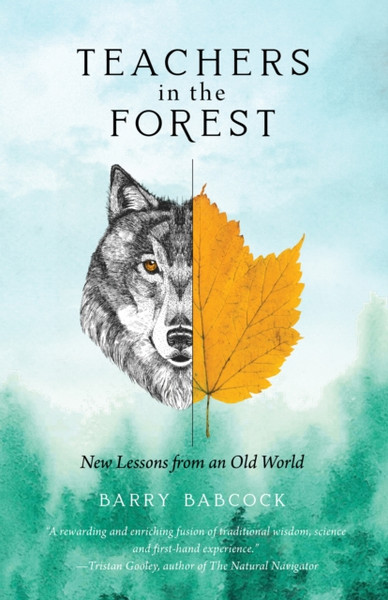 Teachers in the Forest : New Lessons from an Old World