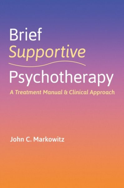 Brief Supportive Psychotherapy : A Treatment Manual and Clinical Approach