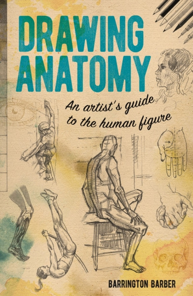 Drawing Anatomy : An Artist's Guide to the Human Figure
