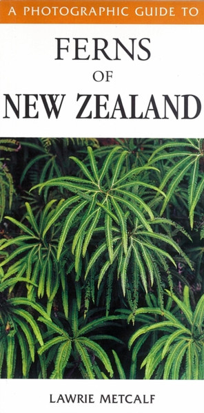 Photographic Guide To Ferns Of New Zealand