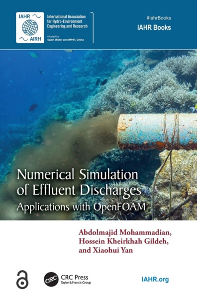 Numerical Simulation of Effluent Discharges : Applications with OpenFOAM