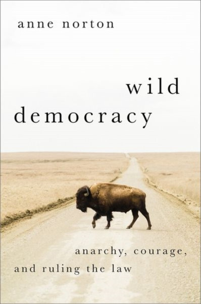 Wild Democracy : Anarchy, Courage, and Ruling the Law