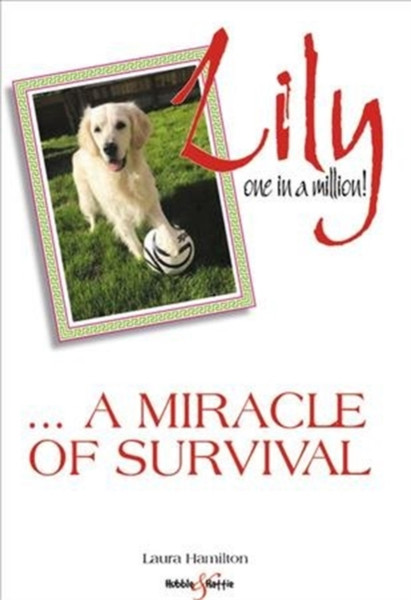 Lily: one in a million : A miracle of survival