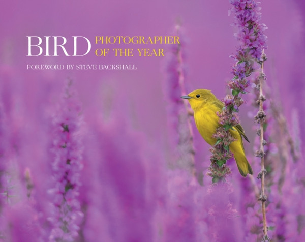 Bird Photographer of the Year : Collection 7