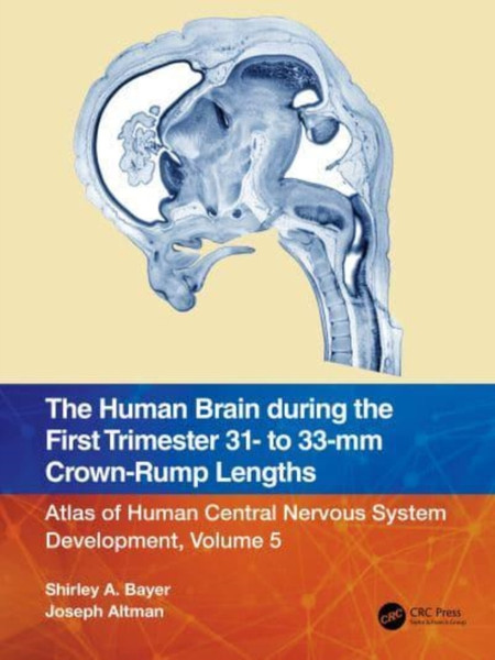 The Human Brain during the First Trimester 31- to 33-mm Crown-Rump Lengths : Atlas of Human Central Nervous System Development, Volume 5