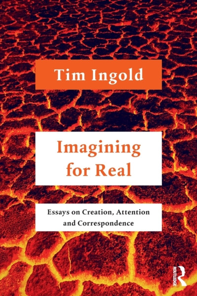 Imagining for Real : Essays on Creation, Attention and Correspondence