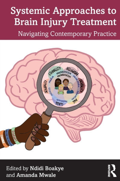 Systemic Approaches to Brain Injury Treatment : Navigating Contemporary Practice