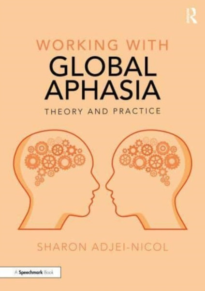 Working with Global Aphasia : Theory and Practice