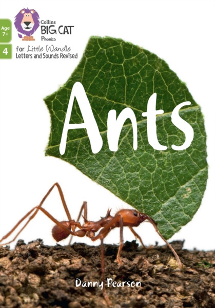 Ants : Phase 4 Set 2