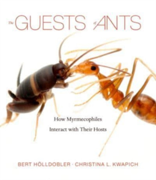 The Guests of Ants : How Myrmecophiles Interact with Their Hosts