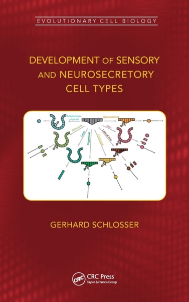 Development of Sensory and Neurosecretory Cell Types : Vertebrate Cranial Placodes, volume 1