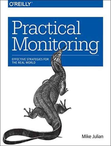 Practical Monitoring : Effective Strategies for the Real World