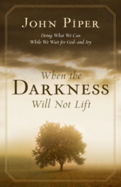 When the Darkness Will Not Lift : Doing What We Can While We Wait for God--and Joy