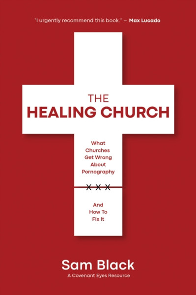 The Healing Church : What Churches Get Wrong about Pornography and How to Fix It