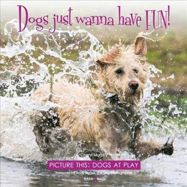 Dogs just wanna have FUN! : Picture this: Dogs at Play