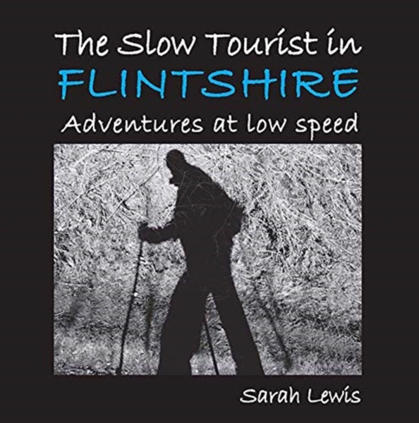 The Slow Tourist in Flintshir : Adventures at low speed