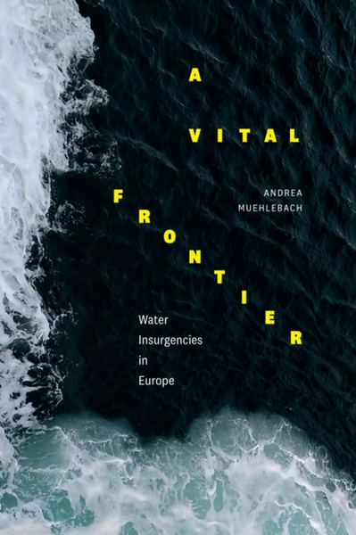 A Vital Frontier : Water Insurgencies in Europe