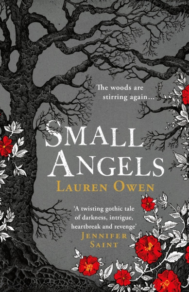 Small Angels : 'A twisting gothic tale of darkness, intrigue, heartbreak and revenge' Jennifer Saint
