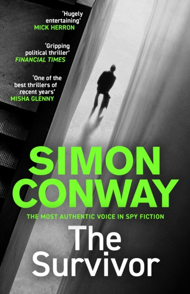 The Survivor : A Sunday Times Thriller of the Month