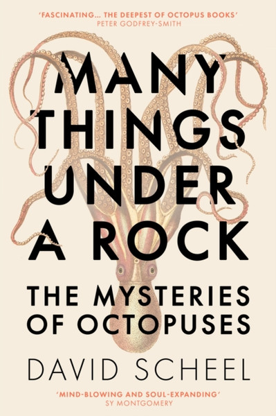 Many Things Under a Rock : The Mysteries of Octopuses