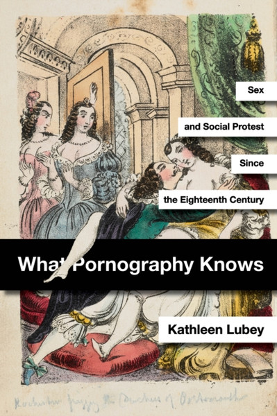 What Pornography Knows : Sex and Social Protest since the Eighteenth Century