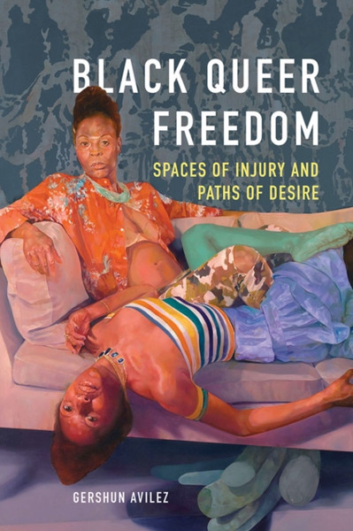 Black Queer Freedom : Spaces of Injury and Paths of Desire
