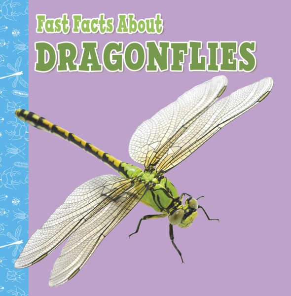 Fast Facts About Dragonflies