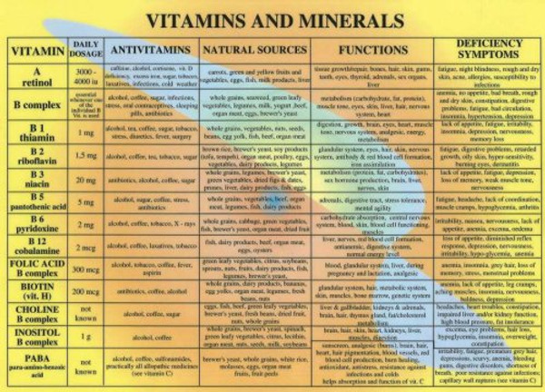 Vitamins & Minerals -- A4 by Jan van Baarle (Author)