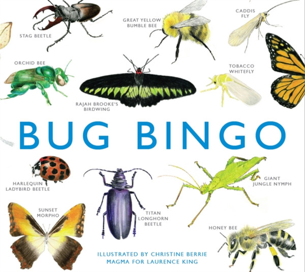 Bug Bingo