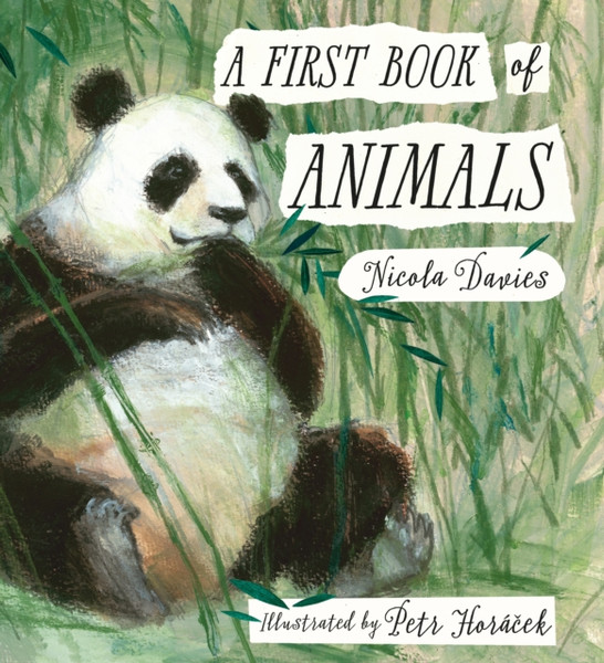 A First Book Of Animals - 9781406359633