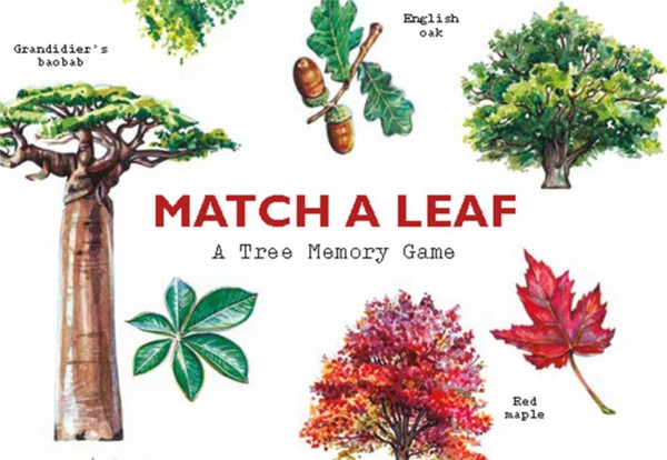 Match A Leaf: A Tree Memory Game
