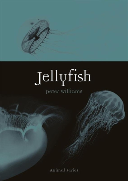 Jellyfish - 9781789142150