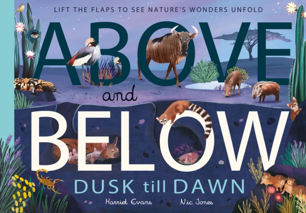 Above And Below: Dusk Till Dawn: Lift The Flaps To See Nature'S Wonders Unfold