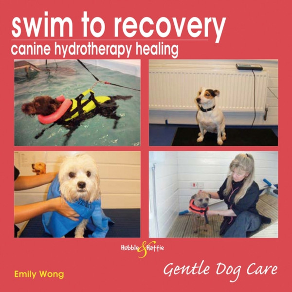 Swim To Recovery: Canine Hydrotherapy Healing