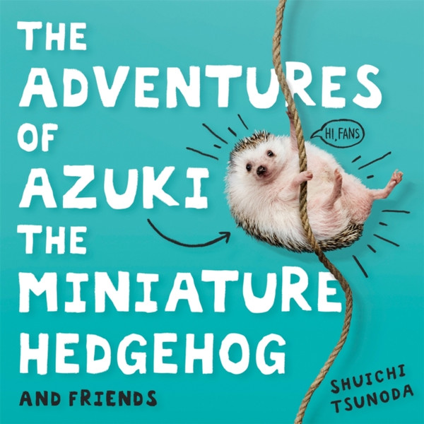 The Adventures Of Azuki The Miniature Hedgehog And Friends