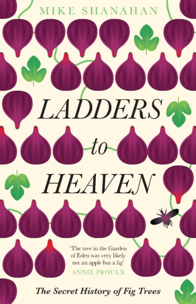 Ladders To Heaven