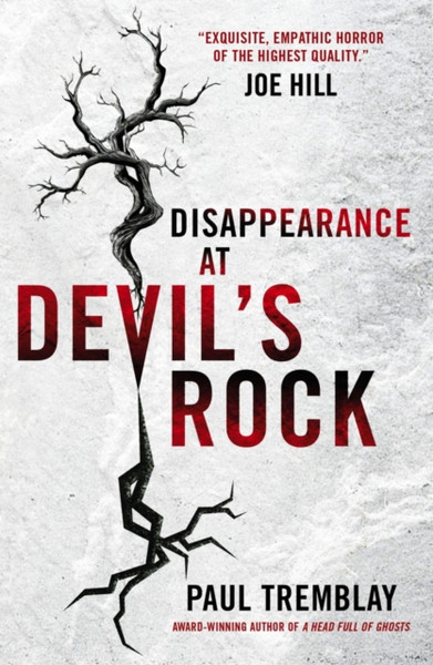 Disappearance At Devil'S Rock: A Novel